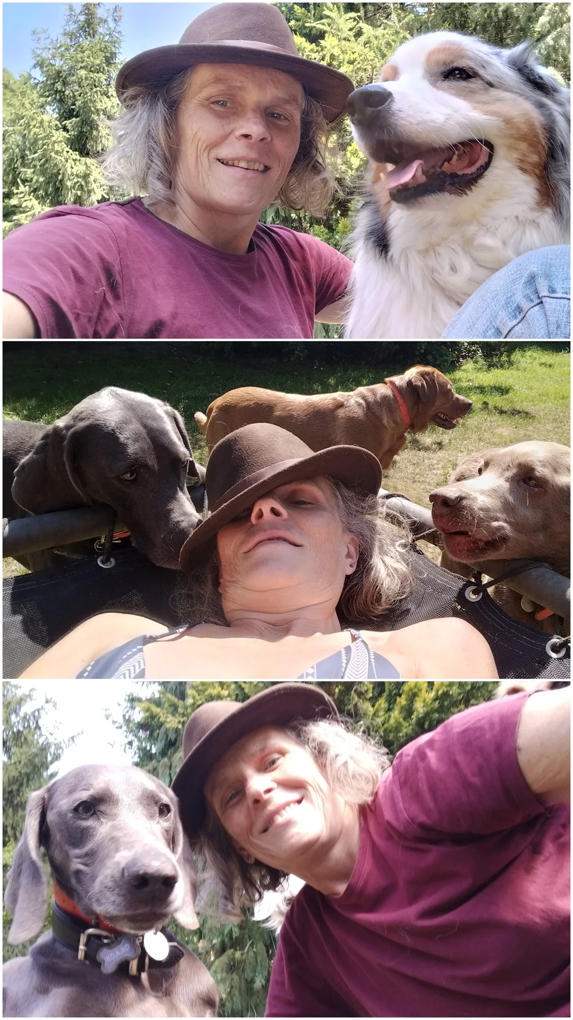 Drei Momente mit Sandra und ihren Hunden