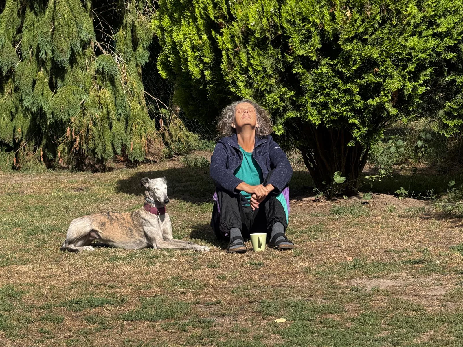 Sandra sitzt ruhig im Gras, neben ihr liegt entspannt ein Windhund